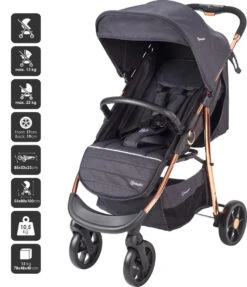 Babygo Style Black Rose 3-in-1 Kinderwagen Incl. Autostoel 6321 -Baby Verkoop 6321 style3in1 blackrose 5 babygo