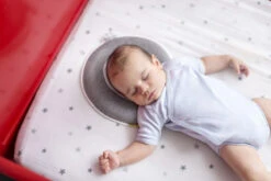 Babymoov Lovenest Premium Smokey Ergonomisch Hoofdkussentje A050224 -Baby Verkoop Babymoov Lovenest Premium Smokey Kussentje A050217 4