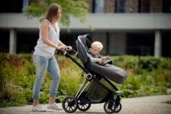 Ding Fenix Grey/Silver Kinderwagen DI-191703 -Baby Verkoop ding fenix grey silver kinderwagen