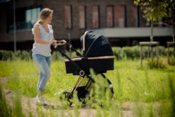 Ding Fenix Black/Rose Kinderwagen DI-191702 -Baby Verkoop ding fenix rose kinderwagen