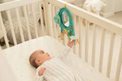 Infantino Elephant Autospiegel BK-316313 -Baby Verkoop infantino elephant autospiegel bk 316313 2