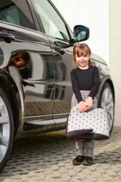 Lorelli Sirius Pink 22-36 Kg Isofix Booster 1007147-2023 -Baby Verkoop lorelli sirius grey crowns 22 36 kg isofix booster 1007147 2094 3 1920x1920 3